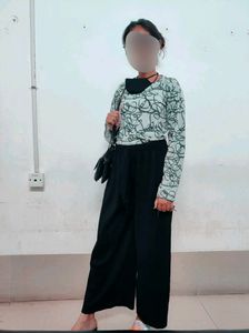 T Shirt ( Full Sleeve)