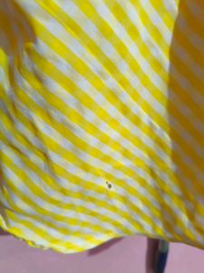 Striped Yellow Top