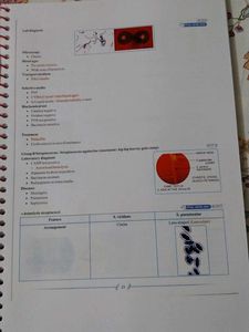 Microbiology Notes by Dr. Preeti Mann
