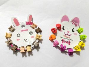 20 Cute Little Hair Clip Combo Of 2