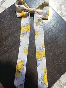 Combo Of Long Tail Bow And Bow Rubber Band