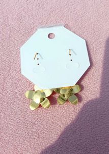 Earing Stainless Steel