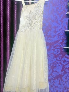 Elegant Ethnic Gown