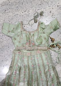 Elegant Sage Green Lehenga