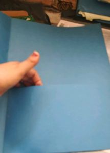 File Folders