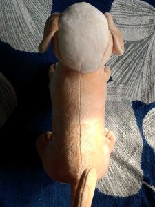 Dog Plush Toy
