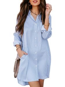 Striped Shirt Dress