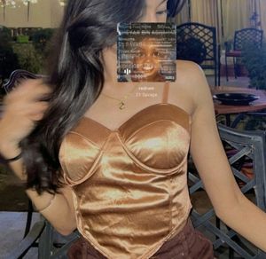 Brown Gold Corset Top.