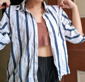 Business Work Crop Tshirt Short Women