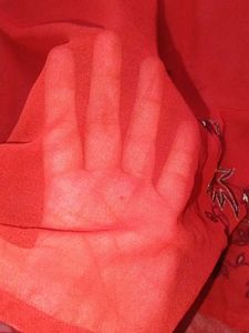 Red Embroidered Top