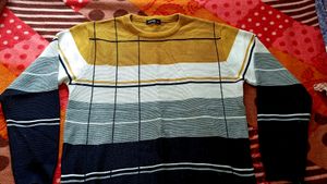 Branded Men Sweater