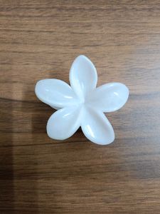 Flower Design Hair Clips Pack Of 1