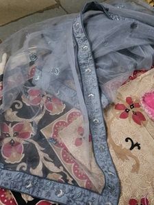 Embroidered Lehenga Choli