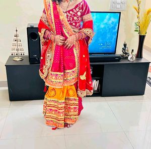 Festivewear Saree
