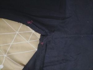 Pant