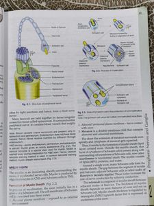 Human Anatomy Vol. 4 with workbook
