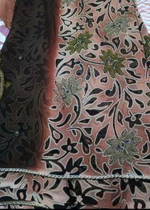 Girlish Look Saree