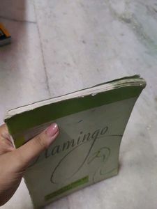 FLAMINGO CLASS 12TH (Core Course)