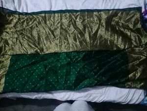 Elegant Green & Gold Saree