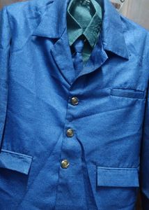 blue colour shiny coat