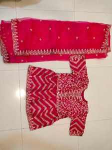 Pink Embroidered Indian Outfit