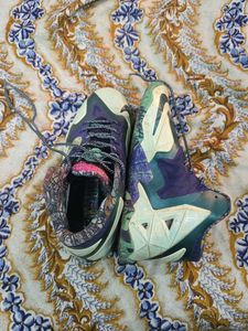 Nike LeBron Edition