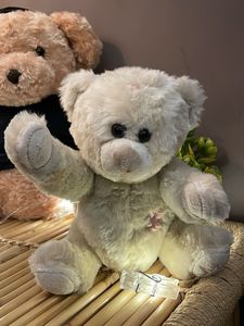 Cute Stuffed Teddy Bear