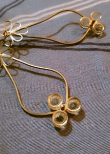 Beautiful Earring
