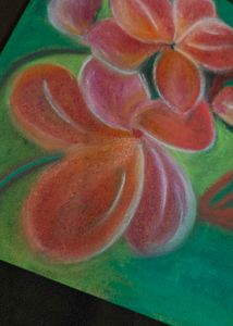 Soft Pastel Drawing Of Flowers 🌺