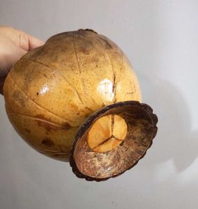 Coconut Shell Basket