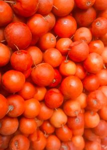 Dry Indian jujube/ Indian plum