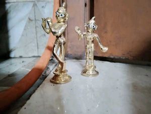 Pure Bras Radha Krishna Murti