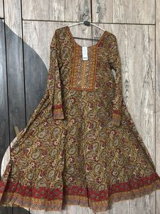 Elegant Paisley Print Ethnic Gown set