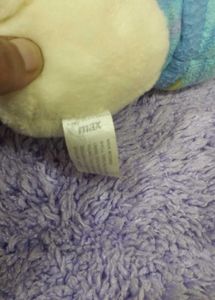 Teddy Bear In Winter Cloth Accessories