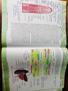 Biology Textbook Class XI 📕