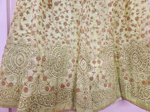 Pista Color Lehnga Choli