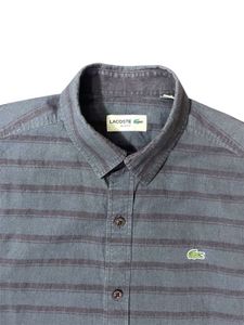 Lacoste Shirt For Men’s.