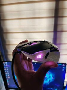 EvoFox Phantom 2 Gaming Mouse