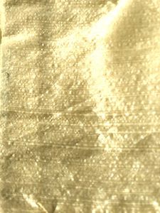 New Embellished Gold Blouse