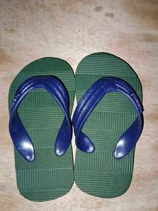 Green & Blue Flip Flops