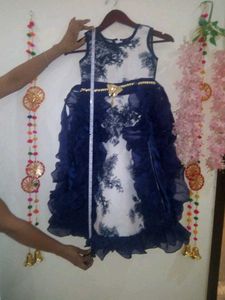 New Party Wear Organza Frock