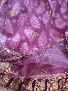 Dual Colour Sequence Work Saree