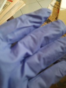 Zwpham Hand Gloves Non Powdered