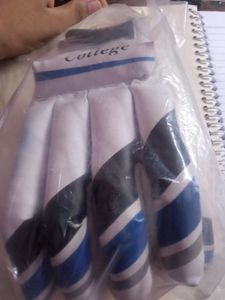Cricket Batting Gloves At Very Low Cost