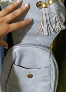 Perfect Everyday Bagpack
