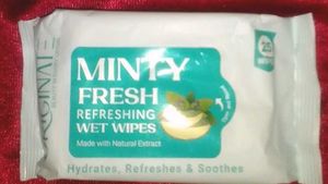 Minty Fresh Refreshing Wet Wipes