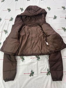 URBANIC Brown Cropped Puffer Jacket