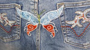 Cool Y2K Jean&#39;s With Butterfly Embroidered Pattern