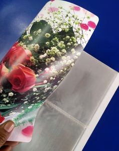 Photo Album (Pack Of 1)