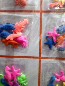 Water Bottle Toys